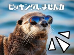 ＼稼げる！安定のお仕事！／
大手企業の安心感♪