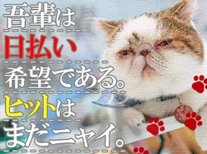 「PC仕事は初めて」「接客経験しかない」
そんな方も大歓迎！
電話なし、接客なし、在宅勤務可などの案件も多数ご用意！