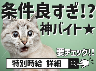 ブルースターで、あなたにピッタリのお仕事が見つかる★
サポート体制が整っているのでご安心ください◎