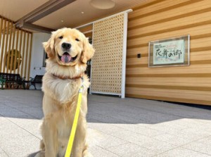 介護支援専門員の資格があればOK！
先輩スタッフがフォローするので安心♪
あなたの「やってみたい」を応援しますよ★