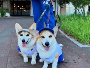 ★未経験者歓迎★カタいマニュアルはありません◎お客さんと、愛犬のお話をするのが楽しい♪