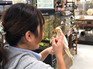 ＼動物が好きな方、大歓迎!!／
仕事中に思わず"キュン"とすることも♪
勤務中に癒されることもある素敵な職場です◎