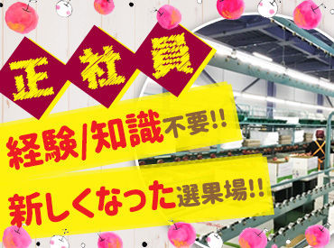 ◇ 冬も通勤しやすい!! ◇
職場までの道のりは、まっすぐで見通しの良い道路◎
冬場も除雪がしっかりされるので安心です♪