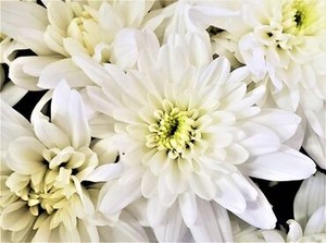 まずは簡単なことからスタート！
徐々にお仕事も覚えてもらえたらOK！
分からないこともすぐ聞けます◎