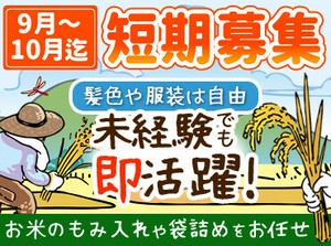 ＜仙台の農業に関わってみたい！＞
そんな方はもちろん、興味本位でのご応募も大歓迎◎
貴重な体験をしてみませんか？*゜