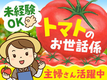 トマト関連のお仕事が多数♪
簡単作業で自分のペースで働けます。