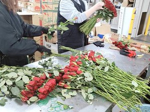 ▼週2日・4時間～OK！
家庭を最優先に考える主婦(夫)さんや
夜は別の仕事がある、というフリーターさんにもおすすめ◎