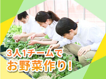 重い機材などは使わず、安全に栽培できる装置を採用しています◎