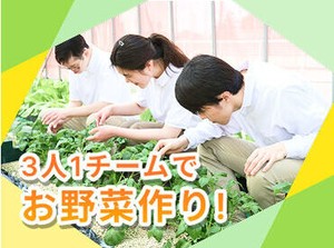 重い機材などは使わず、安全に栽培できる装置を採用しています◎