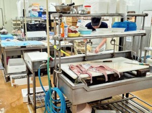 ＼正社員ならではの充実待遇！／
産休・育休制度や、再雇用制度あり！
腰を据えて働きやすい♪
頑張りはボーナスで還元します◎