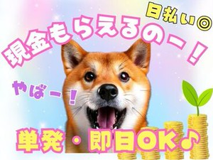 ＼現金手渡しって珍しいんですよ！／
年齢不問！未経験でもカンタンなお仕事！
サクッと稼げる♪