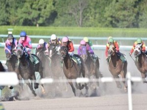 大量募集なので、ぜひ皆さんご応募・面接にお越しください♪