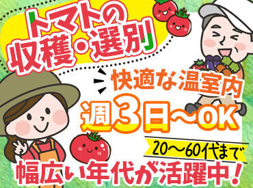 【人気のヒミツ】
1．作業はハウス内で行うため、天候関係なし
2．空調付ベスト支給でいつでも快適♪
7月末or11月末短期歓迎！