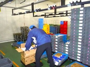 ＼髪色・ピアス・ネイル自由♪／
モクモクと作業できるので
時間もあっという間に感じます★
重いものはないので安心です◎