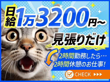 ≪期間限定のレア現場募集開始★≫
2025年8月末ごろまでの限定募集◎
★がっつり稼ぎたい人必見です★