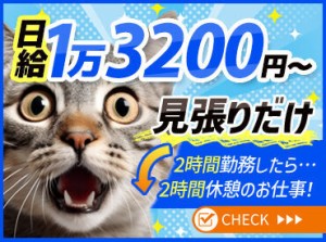 ≪期間限定のレア現場募集開始★≫
2025年8月末ごろまでの限定募集◎
★がっつり稼ぎたい人必見です★