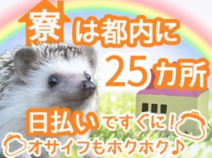 元飲食・営業・サービス業・物流業など
未経験から始めた方も多数！
70代のスタッフが2割も在籍★
男女ともに活躍中♪