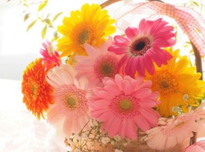 ★季節の花を楽しみながら働ける★
常連のお客様も多く、世間話で盛り上がることも
このお仕事の楽しみの1つです♪*。