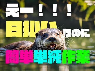 年齢不問！日払いOK★未経験でもカンタンなお仕事！