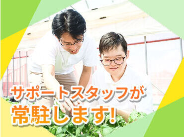 チームを組んでお仕事をします。分からないことはいつでも相談できる環境です♪