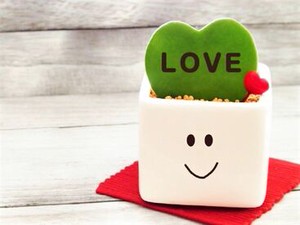 ﾟ*｡☆ ＮＥＷスタッフ募集 ☆。*ﾟ
1～2ヶ月の更新制のお仕事♪
シフト相談可能
即日勤務・フルタイム勤務ＯＫ