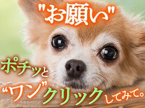 きちんとした研修がありますので安心♪
≪日払いOK≫財布がピンチでも
すぐに給料GETできちゃう★