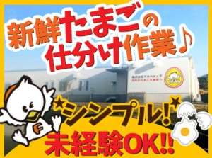 ★サクっと慣れる&稼げる★
人気のお仕事→卵の仕分け♪
先輩スタッフのサポートもあるから安心!!