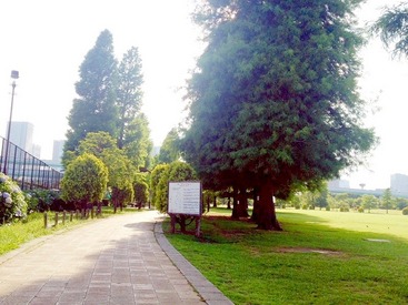 公園内を歩き回るので
散歩が好きな人におすすめ♪
過ごしやすい気温になる
これからの季節は始めるのにピッタリなタイミング！