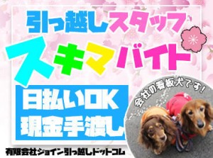 同業他社から転職したスタッフもたくさんいます！
気さくで明るいスタッフが多く
居心地の良さには自信があります★