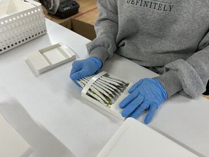 お仕事は通販で使用する箱の組立や梱包、送付の準備のみ！
難しい作業は一切なし◎未経験も大歓迎！