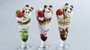 看板商品はパンダパフェ♪
夏はかき氷も人気です◎
一緒にお店を盛り上げてくれる方、大歓迎です！