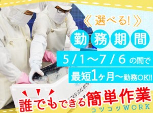 日勤のみのお仕事なので、
ご家族が家にいない時間帯で働きたい
主婦(夫)さんにもぴったり♪
シフトのご相談お気軽にどうぞ!!