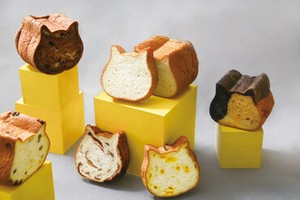 オープニングで大募集！新しい仲間もたくさんできる嬉しい環境☆彡“ねこねこ食パン”など話題のお店で一緒に働きませんか？