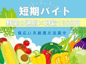 ＼野菜の選別作業をお任せ／
時間に余裕ができた主婦(夫)さんや、学校と両立したい学生さんにも◎