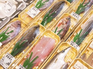 生活必要品がそろうスーパーの『ベイシア』♪
あなたに合う働き方が見つかるかも！
まずはお気軽にご応募くださいね☆