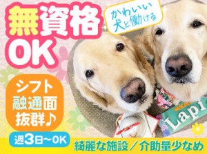 全国的にも珍しいセラピー犬と働ける職場♪
犬の癒し効果は、
科学的にも証明されているんですよ◎