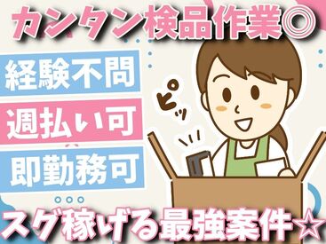 幅広い年代に大人気案件★
あなたの働き方をサポ―トします◎