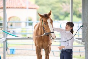 男女問わず活躍中！
程よい人数でテキパキお仕事！
年末年始はお休みです◎
ムリせず楽しくお仕事できます♪