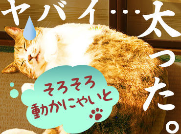 ＼応募から収入までが"超"早い!!／
応募後の来社不要、即内定！
「今すぐに稼ぎたいんです!!!」
その想いにお応えします。