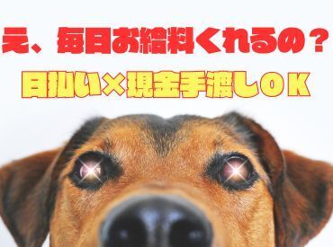 「現金手渡し」の会社って、珍しいんですよ！期間限定募集の今がチャンスです！