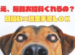 「現金手渡し」の会社って、珍しいんですよ！期間限定募集の今がチャンスです！