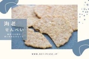 新鮮さそのまま！海老せんべい販売★