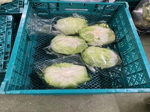 写真のように野菜を袋に詰めたり
パック詰めするのがメインのお仕事♪
≪全店≫≪全商品≫に使える社割あり♪
スタッフから好評