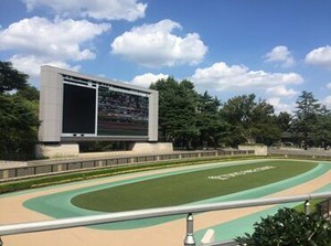 毎年人気のお仕事の募集が開始しました！
大量募集なので、ぜひ皆さんご応募・面接にお越しください♪