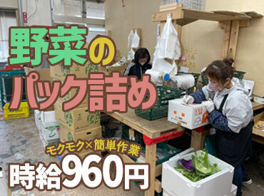 新鮮なお野菜のパック詰め♪
作業の流れはイチから丁寧に指導◎
未経験・ブランク復帰さんもご安心ください！