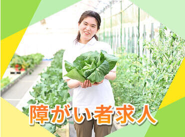チームを組んでお仕事をします。分からないことはいつでも相談できる環境です♪