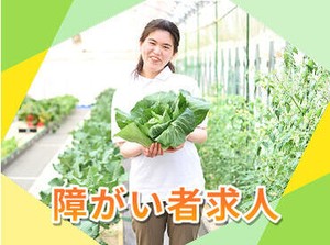 重い機材などは使わず、安全に栽培できる装置を採用しています◎