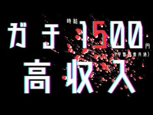 未経験でも稼げる高時給ワーク★
な!!なんと!!日払いもOK！