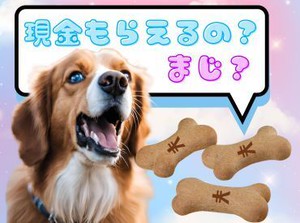 「現金手渡し」の会社って、珍しいんですよ！大量募集中の今がチャンスです！