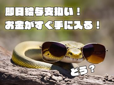 「現金手渡し」の会社って、珍しいんですよ！大量募集中の今がチャンスです！